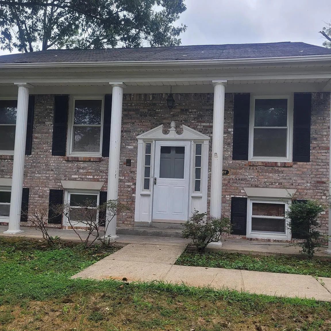 5 bed, 1680 sqft, $3,800 — Photo 3