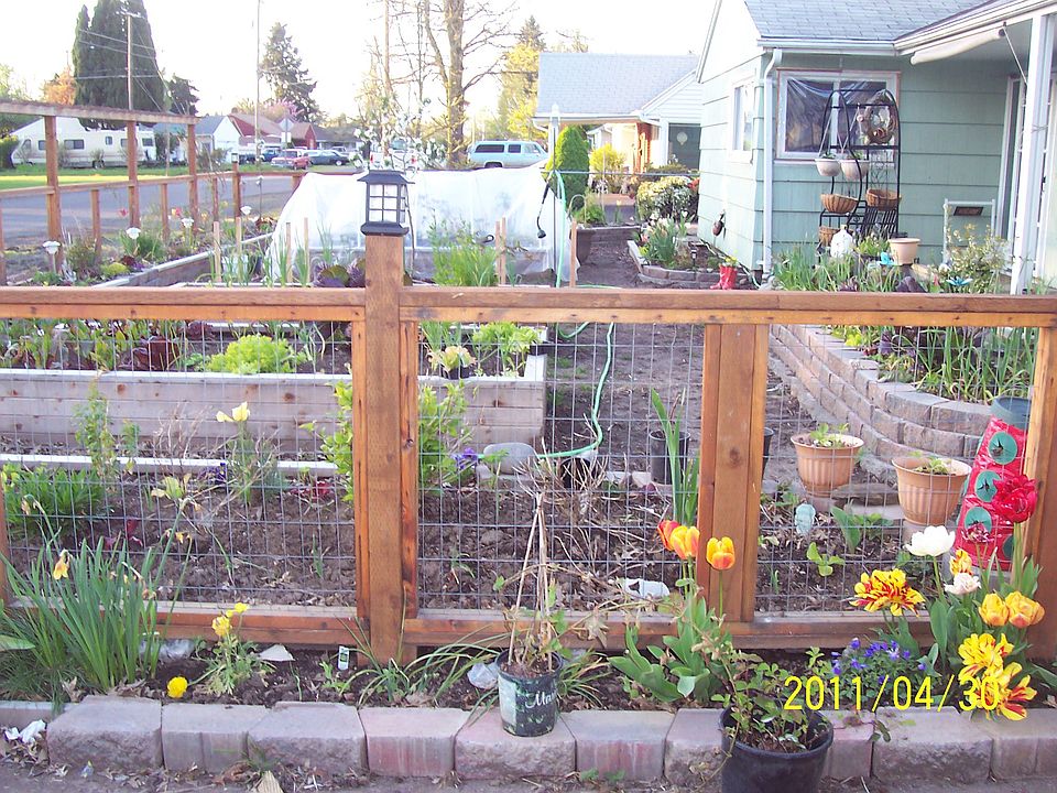 Org. edible landscape 2011