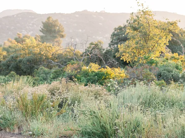 15860 Lyons Valley Rd, Jamul, CA 91935