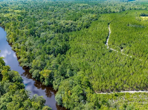 Xx1 Ne Blue Creek Rd, Hosford, FL 32334