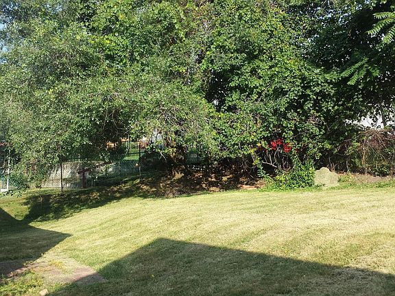 Semi level back yard with shade trees