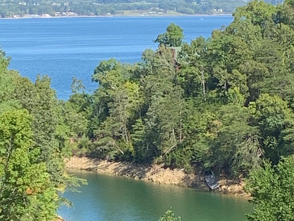View of Douglas Lake from decks