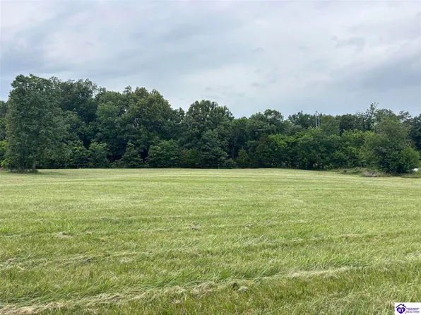 481 Sim Dowell Ln, Irvington, KY 40146