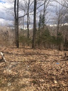 3678 Pleasant Hill Rd, Burkesville, KY, 42717