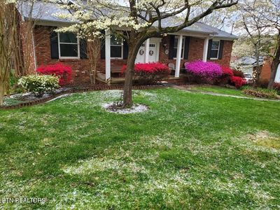 1005 Tokalon Dr, Knoxville, TN, 37932