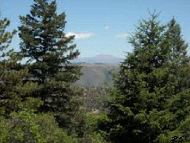 1st image of 49 Coyote Trl