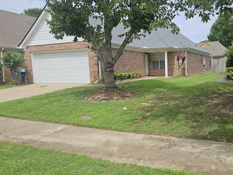 8382 Regal Bend Dr — Photo 3