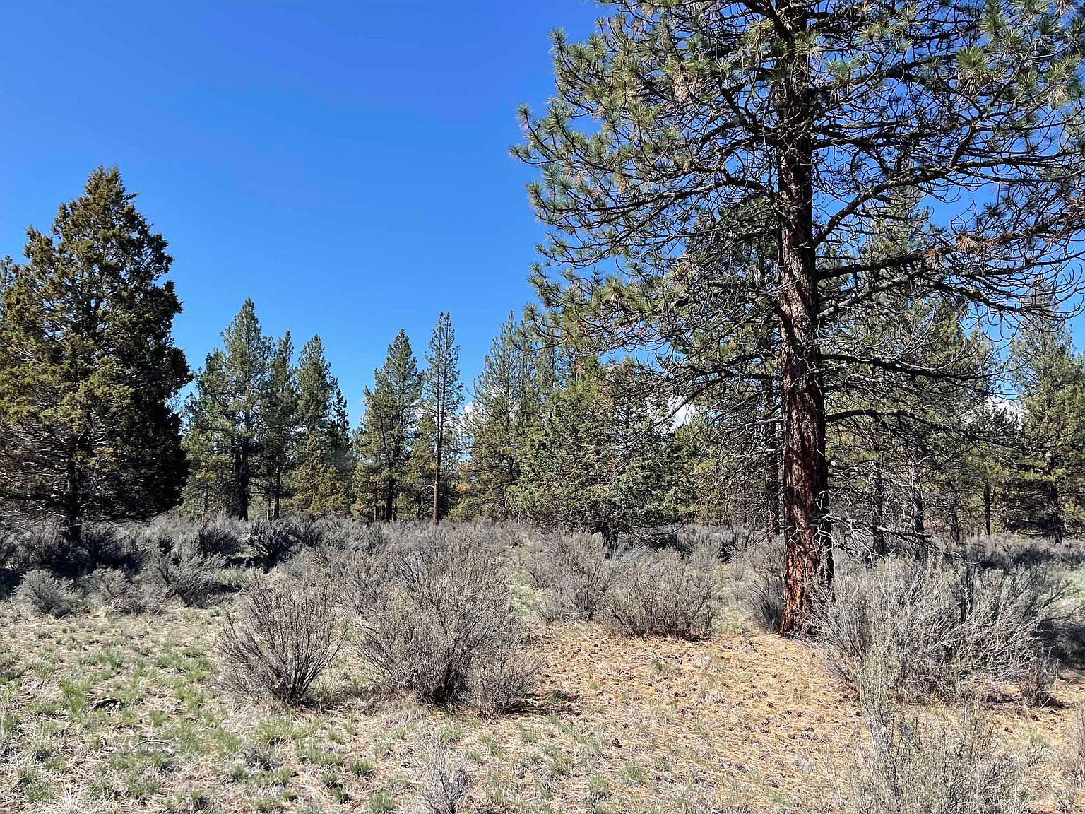 Nf 44 Rd 1600, Chiloquin, OR 97624 MLS 220158053 Zillow