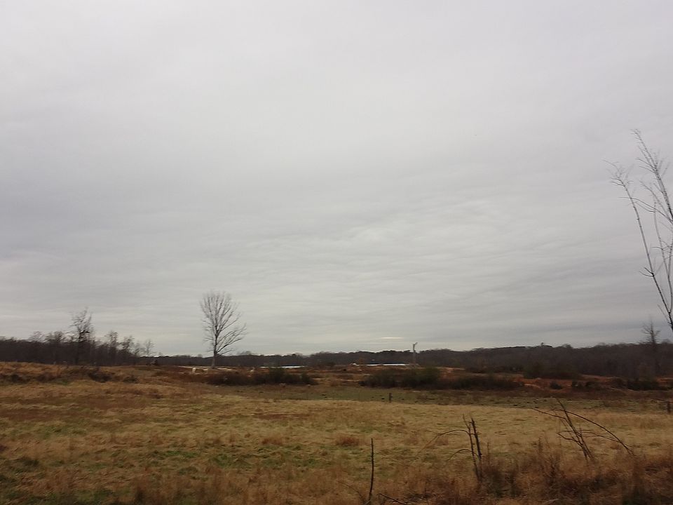 Lots Of Pasture