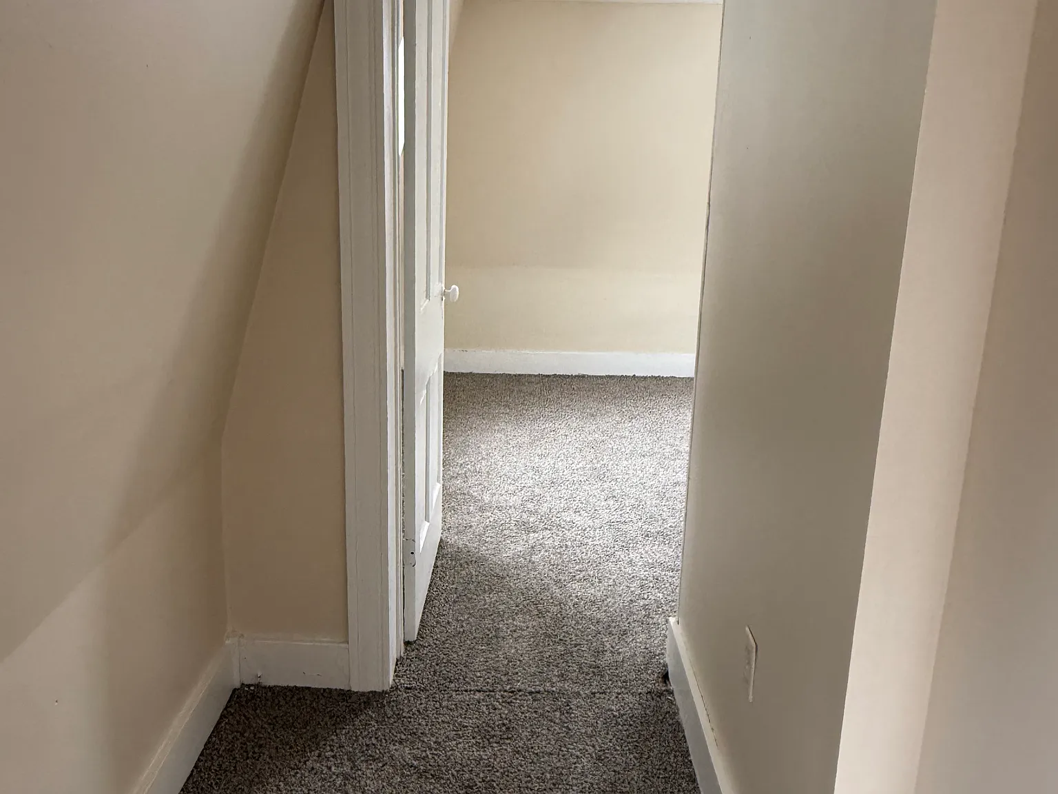 1 bed, $800 — Photo 2