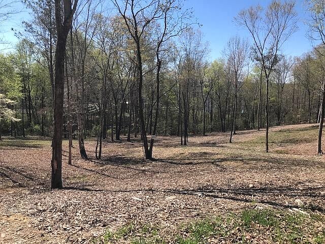 1st image of 16 Piney View Dr