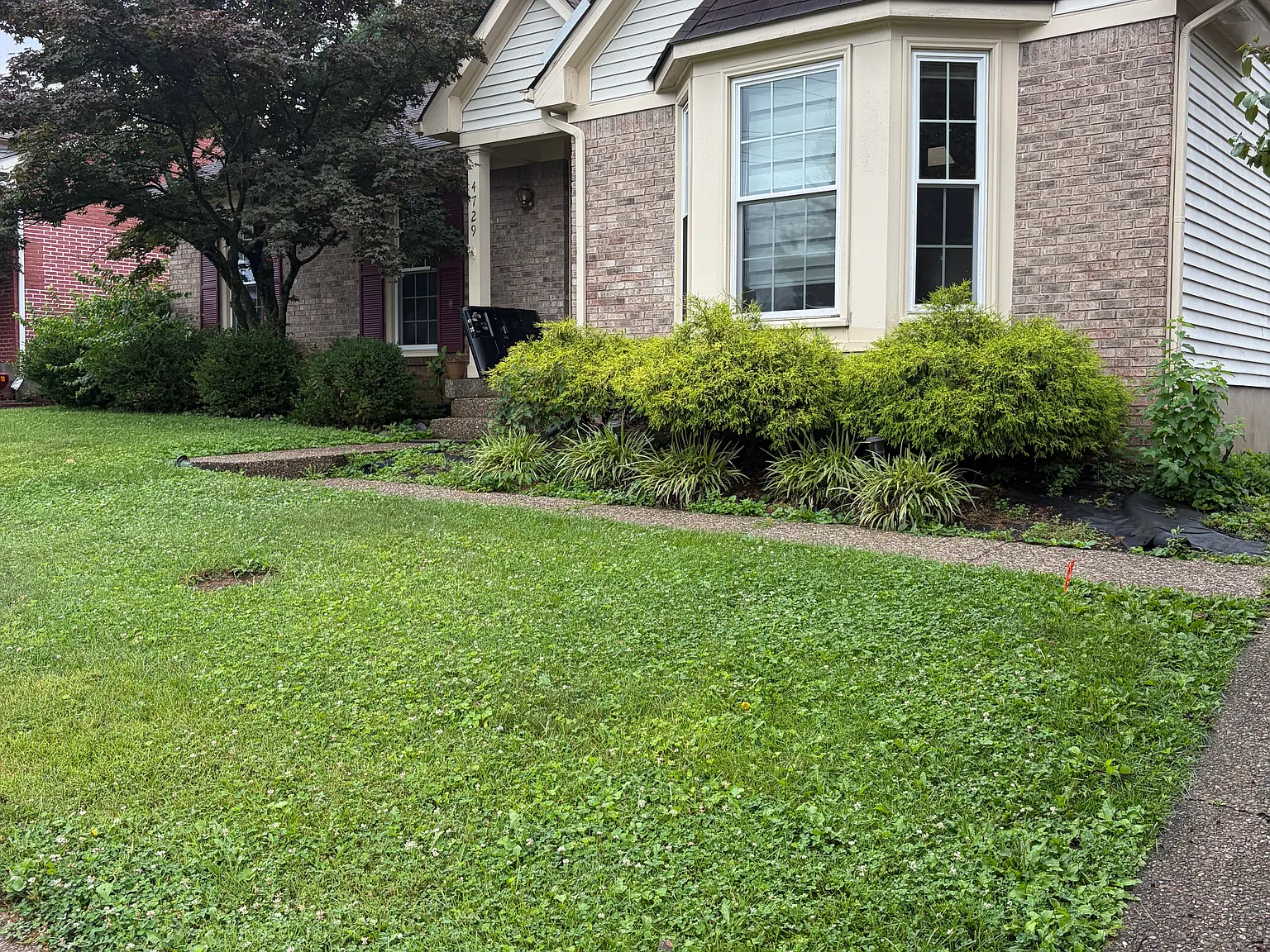 3 bed, 1474 sqft, $2,100 — Photo 2