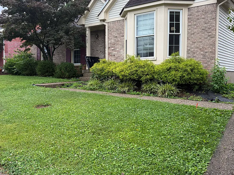 4729 Ferrer Way — Photo 2