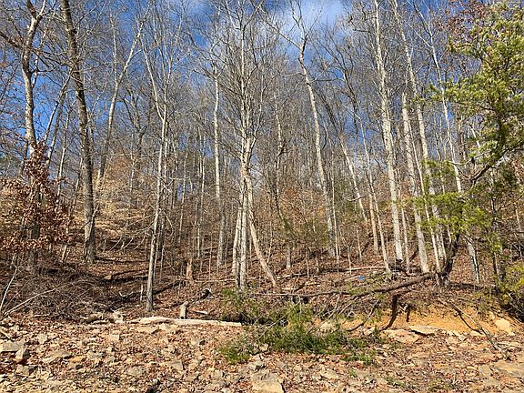 3rd image of Lot 45 Norris Shores Dr Lot 45