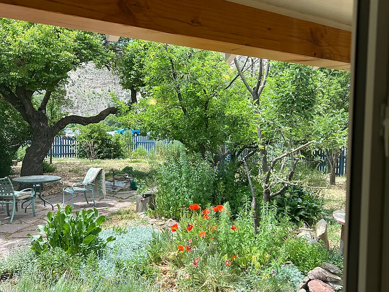 Looking out the window to the garden