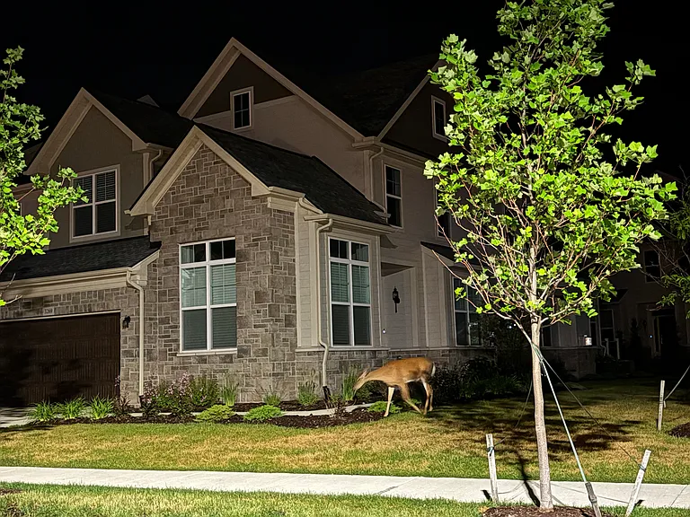 3071 N Spurway Dr — Photo 45