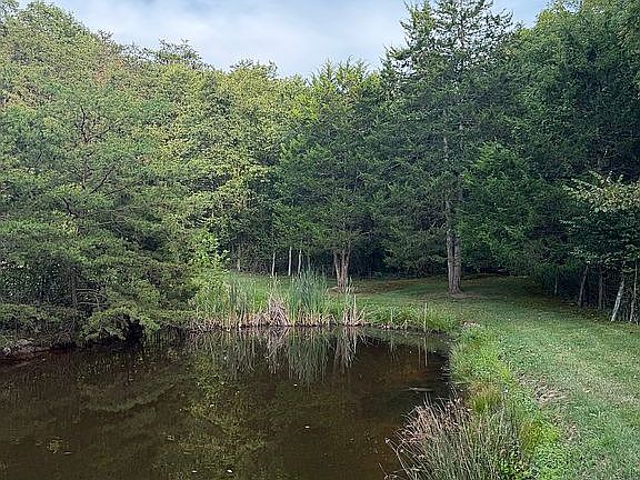 2nd image of 2262 Trough Rd