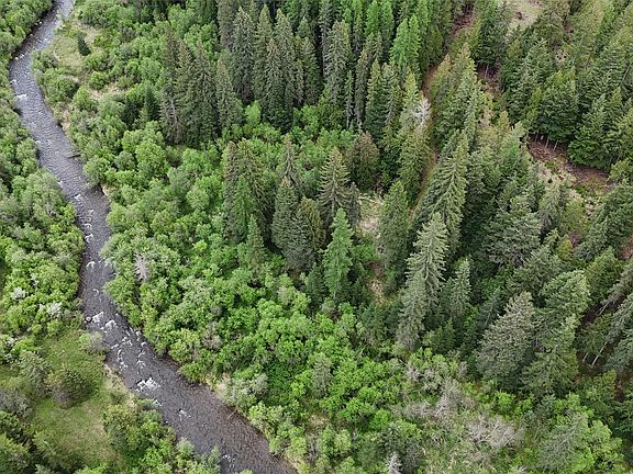 2nd image of 156 Saddle Creek Rd