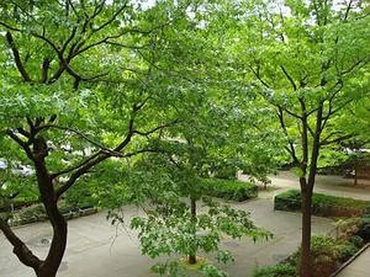 Rented by Morgan Rose Realty LLC | media 11