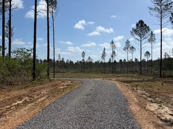 City Bridge Rd, Perkinston, MS 39573