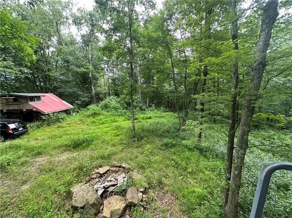 43 State Rte, Amsterdam, OH 43903