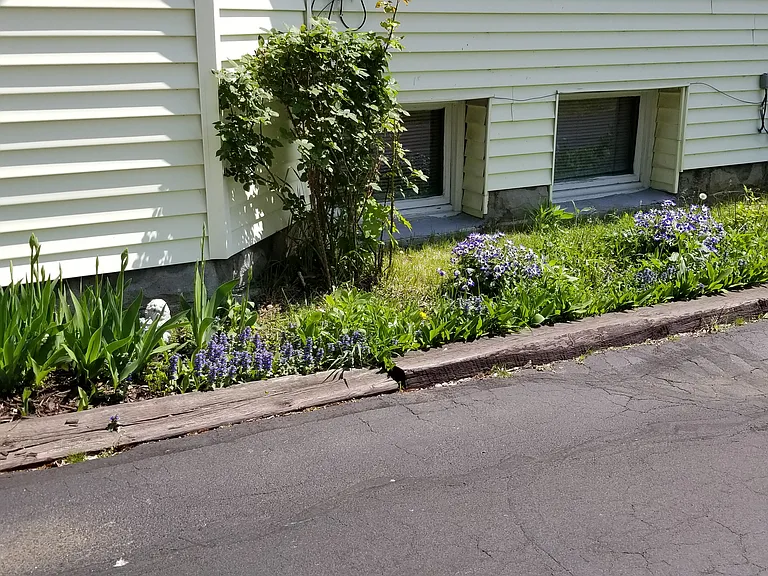 21 W Carpenter St #BASEMENT — Photo 12