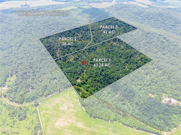 31800 Chestnut Ridge Rd, Danville, OH 43014