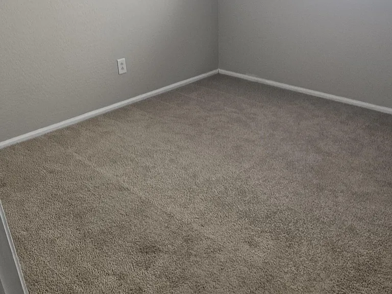 41240 W Capistrano Dr — Photo 11
