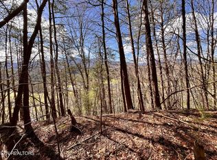 Castle Rd, Gatlinburg, TN 37738