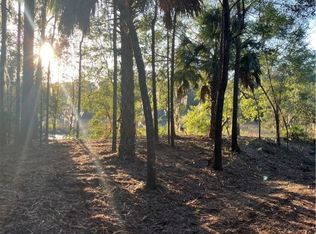 8 Hudson Creek Dr SE, Darien, GA 31305