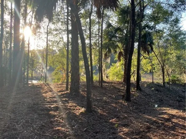 Lot 8 Hudson Creek Drive SE, Darien, GA 31305