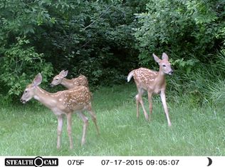 County Line Rd, Platteville, WI 53818