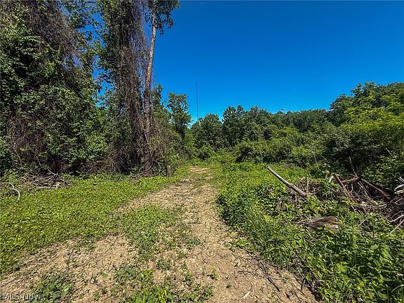 2nd image of LOT 4 Altamont Rd