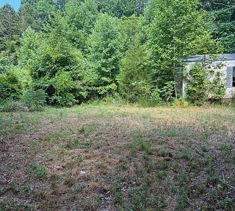 5th image of 175 Edie Ln