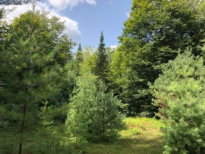 270 Farr Rd #8, Forestport, NY, 13338