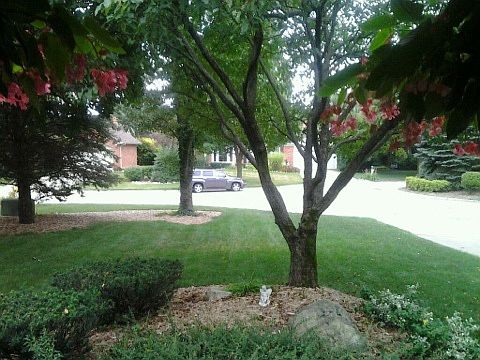 View from front door
