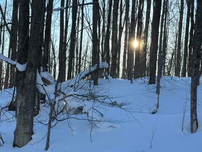 Tower Rd, Vanderbilt, MI, 49795