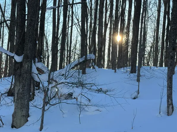 Tower Rd, Vanderbilt, MI 49795