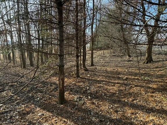 3rd image of Lt0 MAIN STREET