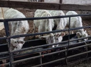 67 E Sterling Rd, Newfoundland, PA 18445