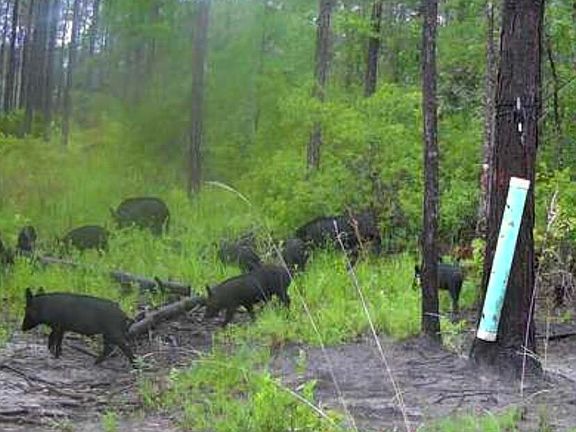 2nd image of 0 Clyatt Rd