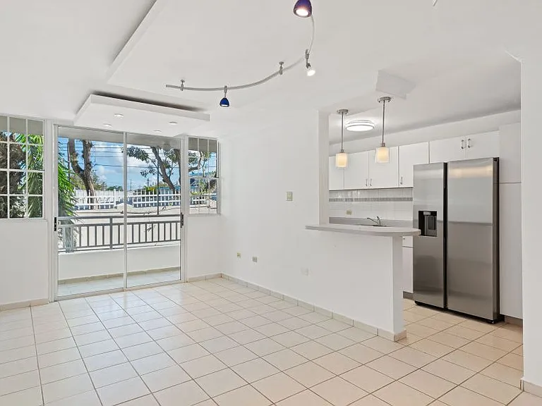 Cond Boulevard Del Rio Apt C204 — Photo 7