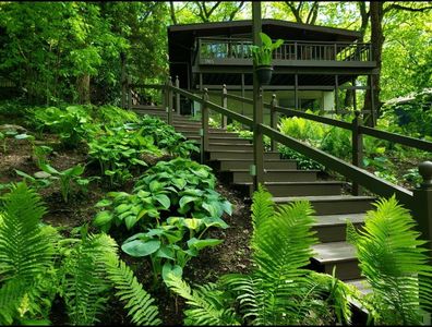 3165 Dolph Dr, Ann Arbor, MI, 48103