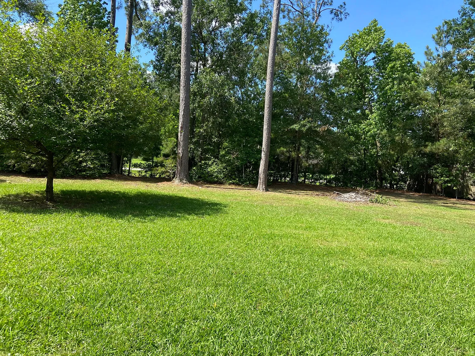 4 bed, 1956 sqft, $2,500 — Photo 3