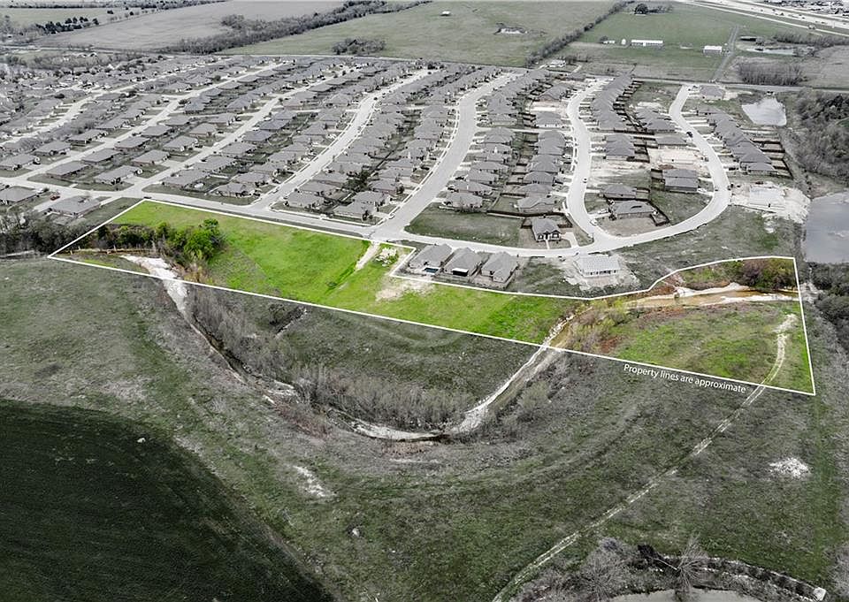 2nd image of Paso Fino St