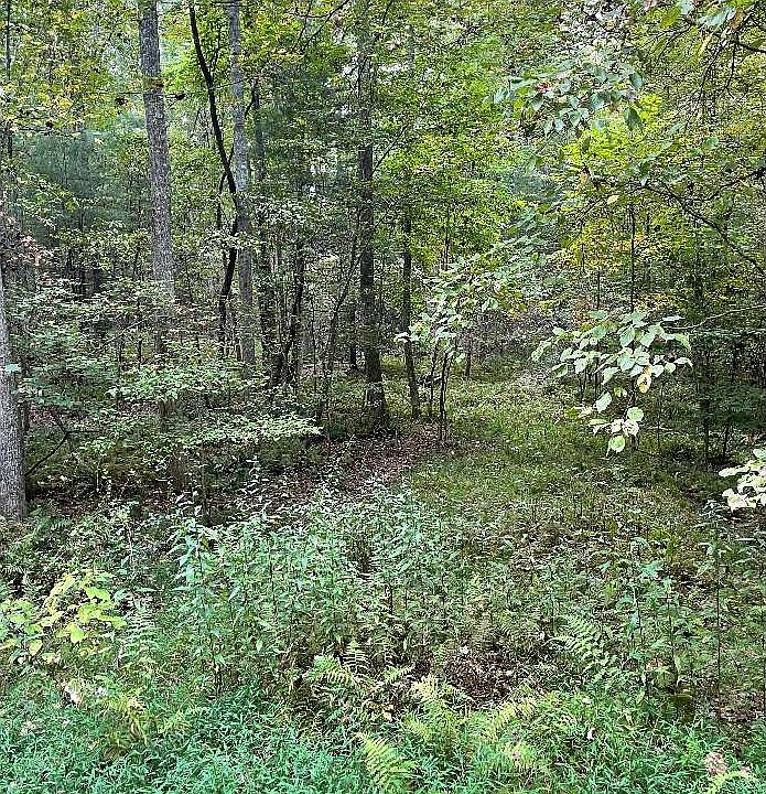 2nd image of Sleepy Hollow Dr