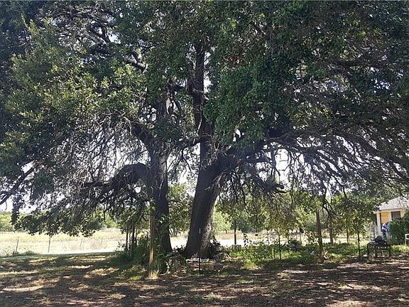 5th image of 17500 N Us Highway 281