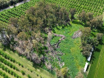 T12n R1w Por Sec #9, Dunnigan, CA, 95937