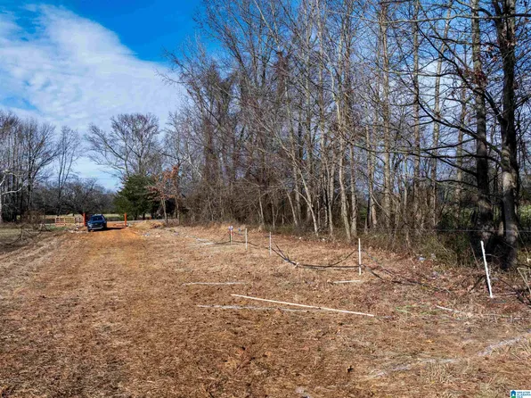 2670 County Road 165 #1, Moulton, AL 35650