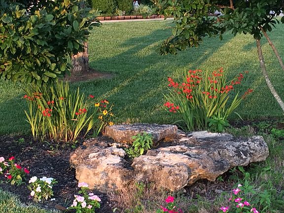 Garden Area in Front Yard